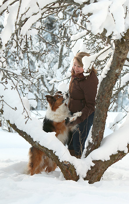 Bordercollie ja nainen puun alla lumisessa maisemassa.
