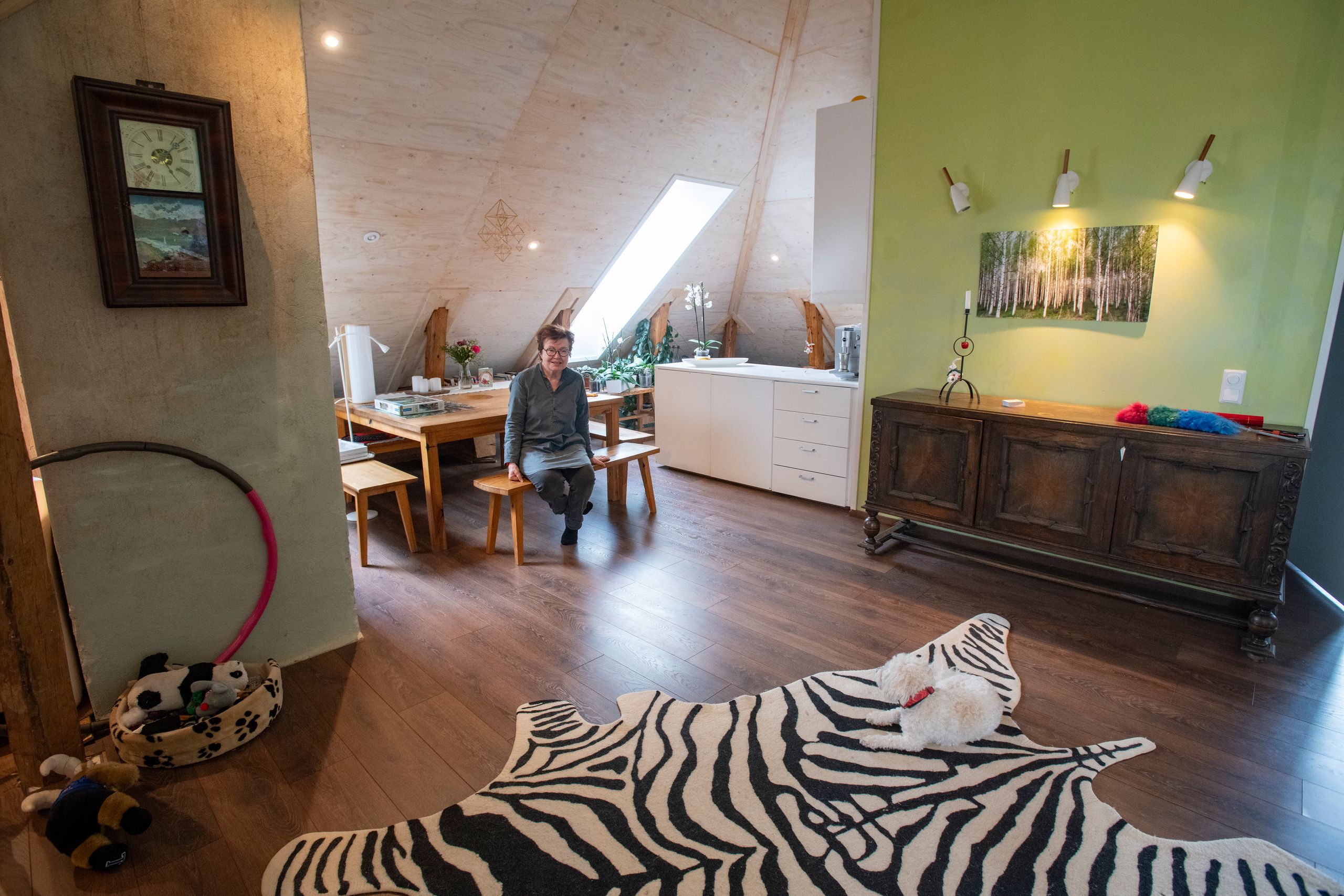 Pöllölän yläkerrassa oli aikoinaan kaksi huonetta mielisaraanhoitajille ja pyykinkuivatusvintti. Leena llmola asuu entiselle vintille remontoidussa asunnossa koiransa Miloun kanssa.