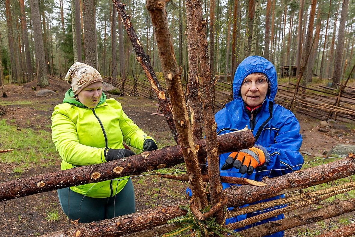 Anni Hänninen on Kettumäen kansanpuistossa eläintenhoitajana. Merja Myllylä tuli talkoisiin rakentamaan lammasaitausta.