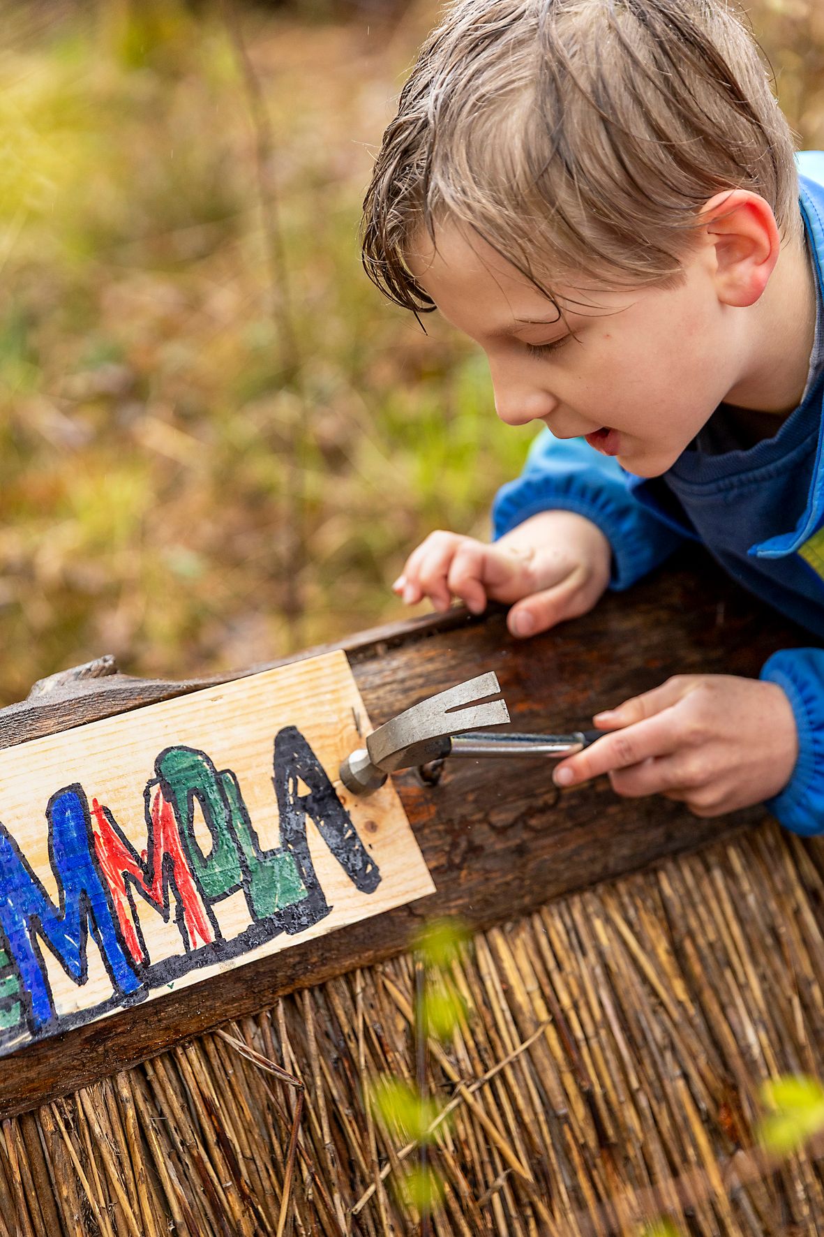Ötökämaailman mummolaan mielii moni asumaan, arvelee Peetu Gardemeister.