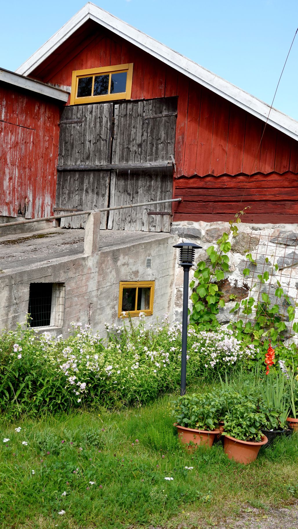 Hyväkuntoisessa navetassa on tuottoisa kanala. Sen edustalla kukkivat kesäkukat ja suopayrtti.