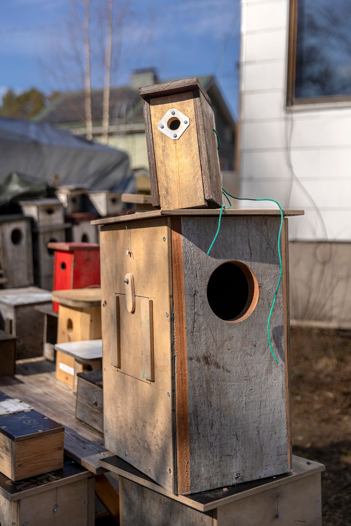 Kullekin kokonsa mukaan – yksi tiaiselle, toinen viirupöllölle.