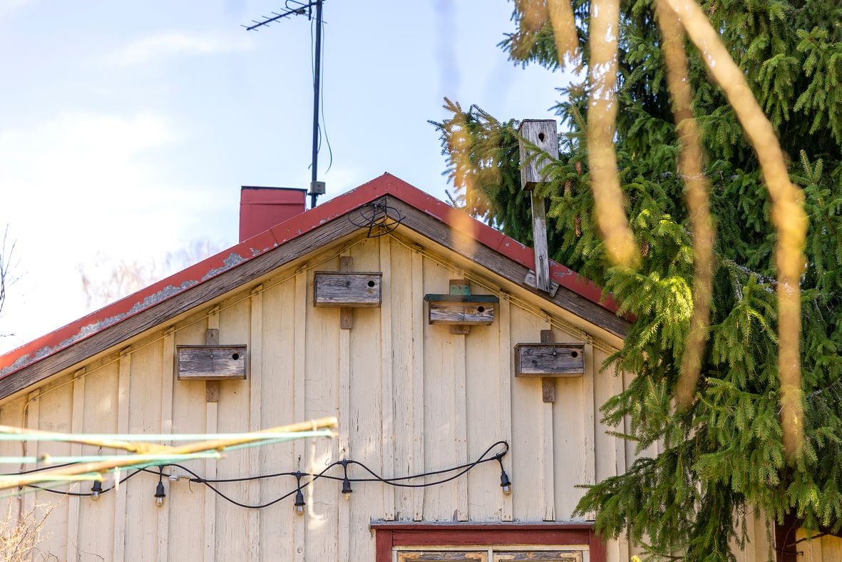 Pikkuvar­­pusten pönttöjä.