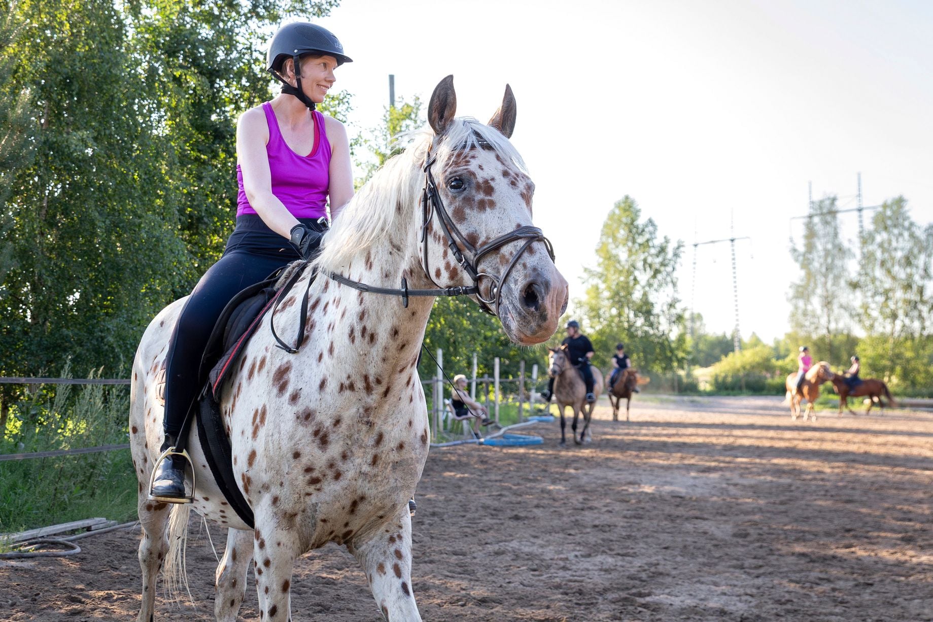 Niinan mielestä on hyvä ratsastaa eri hevosilla. Jokainen hevonen on omanlaisensa yksilö, jolta oppii eri asioita. Niinan ratsuna on nyt Amor.