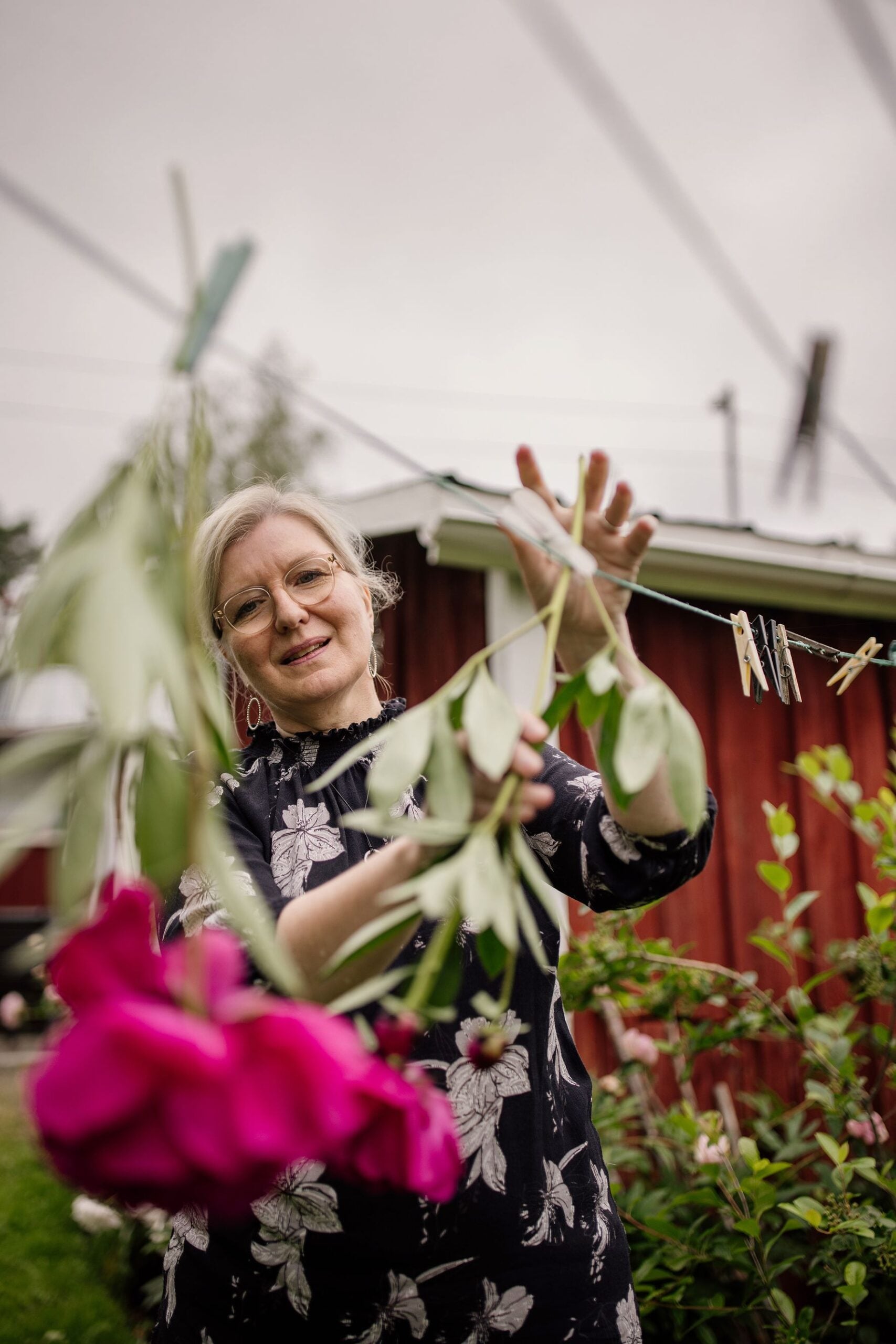 Johanna ripusti sadekuurossa katkenneet pionit narulle kuivumaan. Maljakossa ne ilahduttavat vielä hetken.